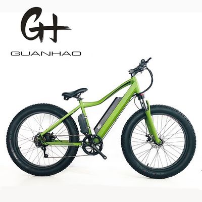 썬레이스 7속 디레일러 26인치 뚱뚱한 타이어 500W 녹색 컬러 전기 마운틴 스노우 전자 자전거