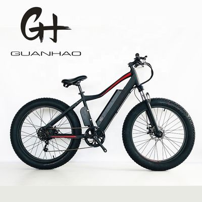 썬레이스 7속 디레일러 26인치 뚱뚱한 타이어 500W 녹색 컬러 전기 마운틴 스노우 전자 자전거