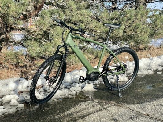 36V 350W EN15194 2007 10.41AH 리?? 배터리와 PAS를 가진 단일 속도 전기 자전거