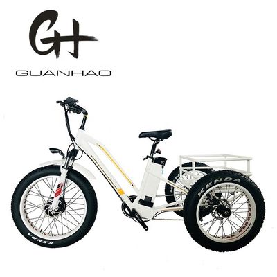 오픈 보디 타입 24인치 20인치 BAFANG 전동 전기 삼륜구동 성인용 48V21AH 750W