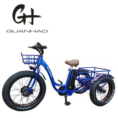 오픈 보디 타입 24인치 20인치 BAFANG 전동 전기 삼륜구동 성인용 48V21AH 750W