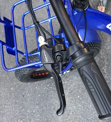 48V 1000w 모터와 함께 전기 24 &quot;x4.0 지방 타이어 전기 화물 삼륜구동 운전