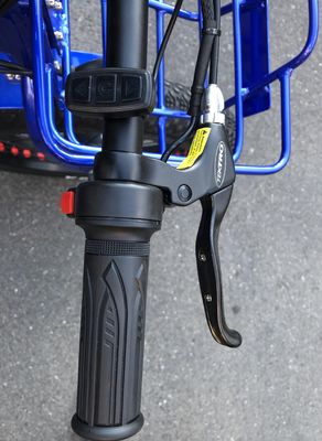 48V 1000w 모터와 함께 전기 24 &quot;x4.0 지방 타이어 전기 화물 삼륜구동 운전