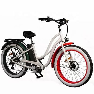 26&quot; 여성 프레임 17AH 리?? 배터리 1000W 전기 화물 48V 전기 도시 자전거
