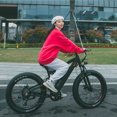시마누 7단 기어와 C 3.0 타이어와 함께 750W Bafang 모터 전기 산악 자전거
