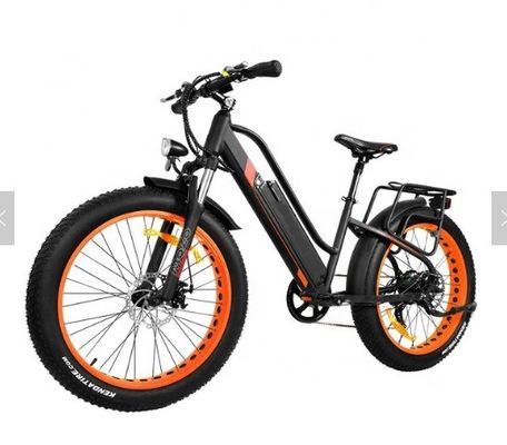 750W 50KM/H A2B CE 중국 OEM 48V 모터 지방 타이어 전기 산악 자전거