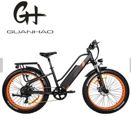 750W 50KM/H A2B CE 중국 OEM 48V 모터 지방 타이어 전기 산악 자전거