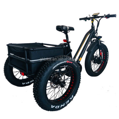 미국 24&quot;20&quot; 모터 Bafang 8fun 750W 48V 17a 성인 3 바퀴 화물 에바이크 전기 삼륜자전거