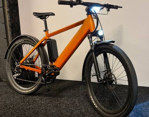 1000W 48V 14AH 숨겨진 배터리 숨겨진 E-MTB LCD 표시 전기 산악 자전거