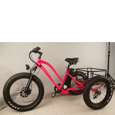 500W 화물 성인 3 바퀴 전기 자전거