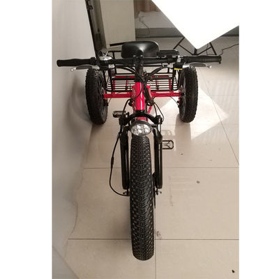 500W 화물 성인 3 바퀴 전기 자전거