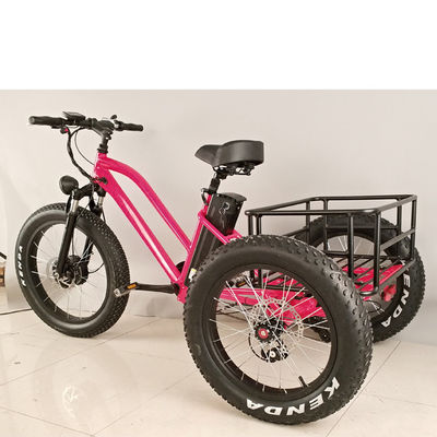 500W 화물 성인 3 바퀴 전기 자전거