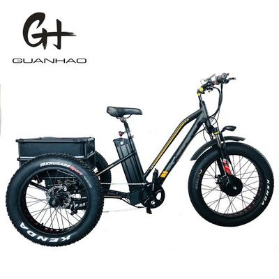 750W 앞 모터 4.0 타이어 눈 EN15194 화물 전기 화물 디스크 브레이크가 있는 삼륜자전거