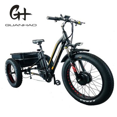 750W 앞 모터 4.0 타이어 눈 EN15194 화물 전기 화물 디스크 브레이크가 있는 삼륜자전거