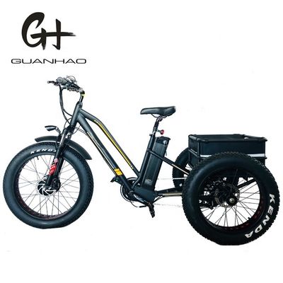 750W 앞 모터 4.0 타이어 눈 EN15194 화물 전기 화물 디스크 브레이크가 있는 삼륜자전거