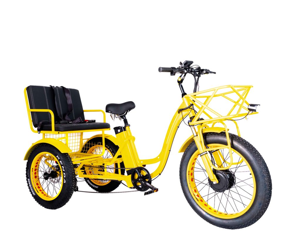 전기 리크샤 750W 전면 BaFang 모터 21AH 리?? 배터리 60KM 미국 성인 24 &quot;뚱뚱한 눈 큰 타이어 승객 좌석