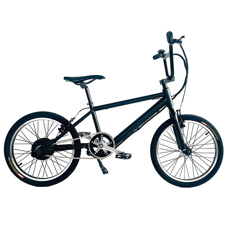 스틸 프레임 20&quot; 내장 배터리 24V 250W 10AH 리?? 배터리 전기 BMX 유럽
