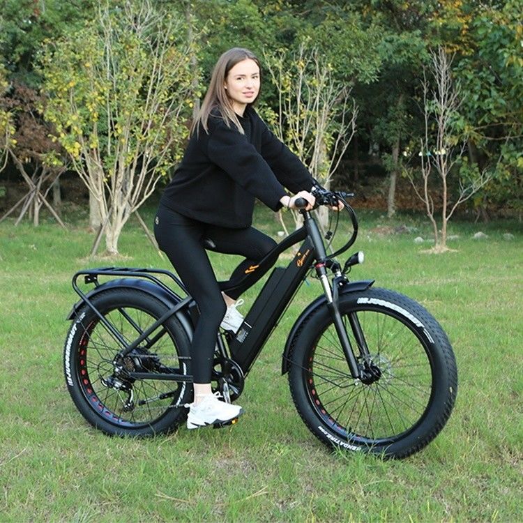 48V 1000W 17AH 리?? 배터리 OEM EN15194 CE 맞춤형 전기 MTB 산지 지방 타이어 자전거