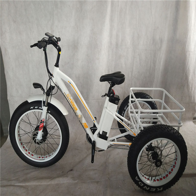 750W 전기 자전거 3 바퀴 성인 지방 타이어 E 트라이크 화물 토크 70-80 Nm 디스크 브레이크