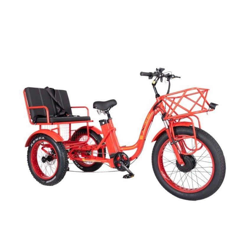 48V E 트라이크 3 휠 750 와트 뚱뚱한 타이어 리크샤 바판 750W 모터와 성능