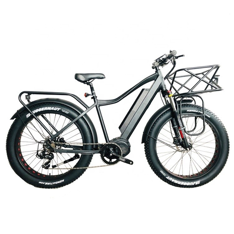 미국 시장 EN15194 CPSC 48V 1000W 17AH 전기 산악 자전거