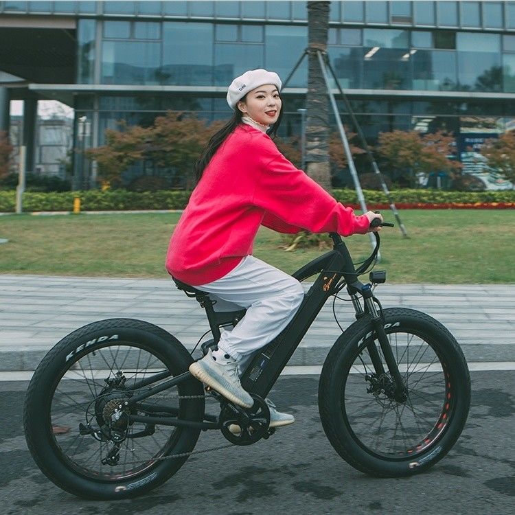 24인치 뚱뚱한 4.0 타이어 48V 1000W 50KM/H 풀 서스펜션 21AH 전기 산악 자전거 전자 자전거