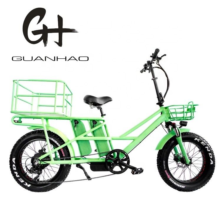 20인치 서스펜션 CE OEM 48V 34AH 1000W 8FUN 모터 중국 듀얼 배터리 전기 자전거