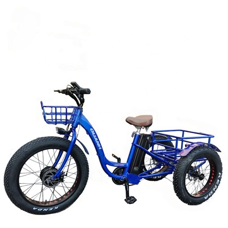 48V 1000w 모터와 함께 전기 24 &quot;x4.0 지방 타이어 전기 화물 삼륜구동 운전