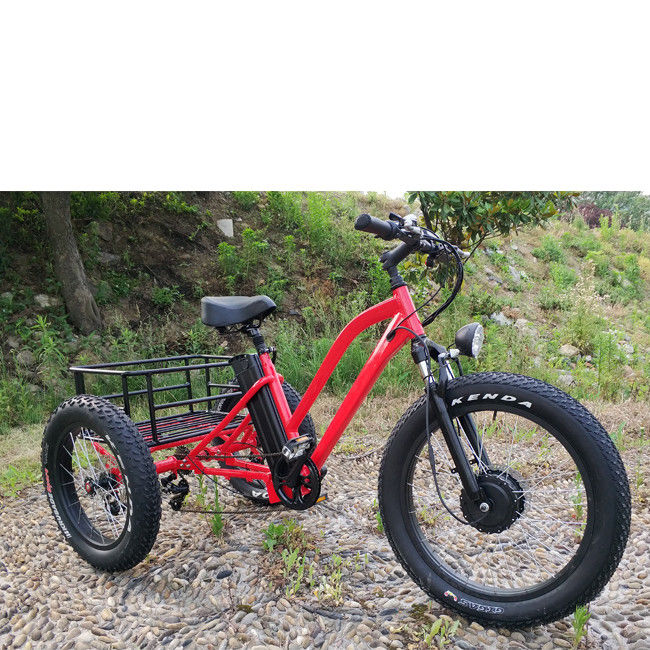 500W 화물 성인 3 바퀴 전기 자전거
