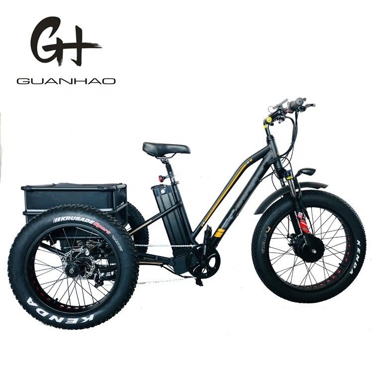 750W 앞 모터 4.0 타이어 눈 EN15194 화물 전기 화물 디스크 브레이크가 있는 삼륜자전거
